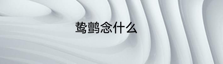 鸷鹯念什么