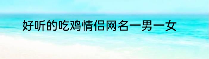 好听的吃鸡情侣网名一男一女