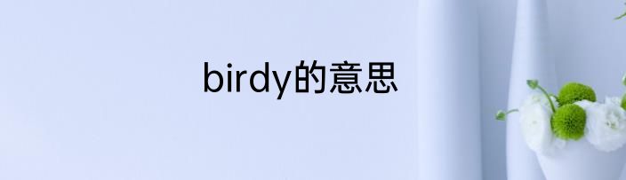 birdy的意思