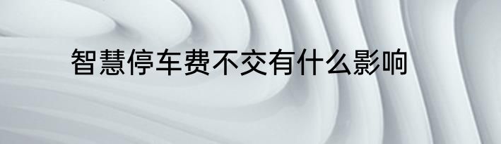 智慧停车费不交有什么影响