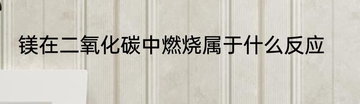 镁在二氧化碳中燃烧属于什么反应
