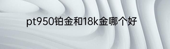 pt950铂金和18k金哪个好
