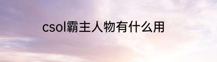 csol霸主人物有什么用