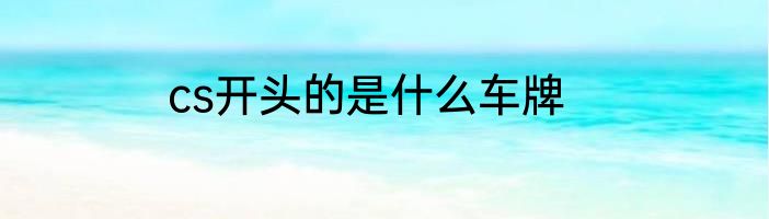 cs开头的是什么车牌