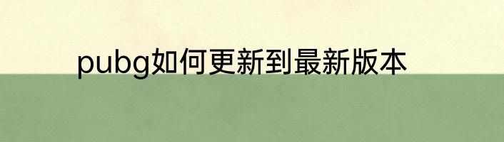 pubg如何更新到最新版本