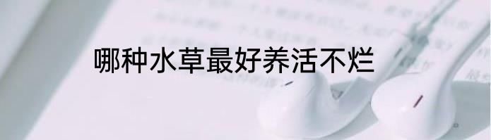 哪种水草最好养活不烂