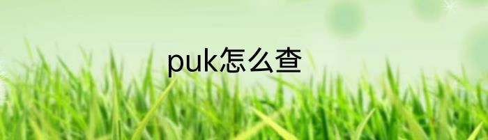puk怎么查