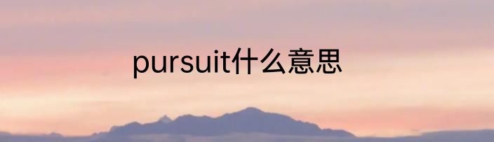 pursuit什么意思