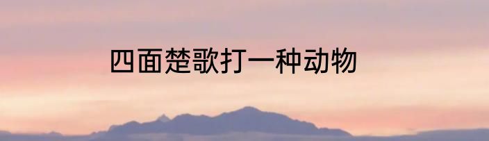 四面楚歌打一种动物