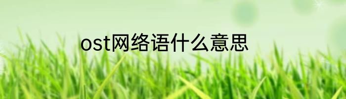 ost网络语什么意思