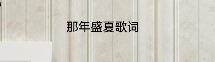 那年盛夏歌词