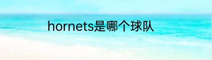 hornets是哪个球队