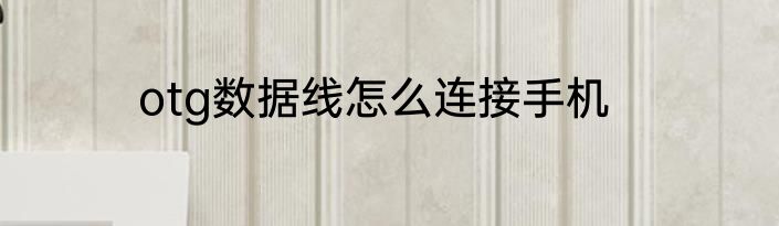 otg数据线怎么连接手机