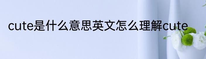 cute是什么意思英文怎么理解cute