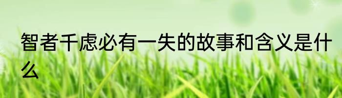 智者千虑必有一失的故事和含义是什么
