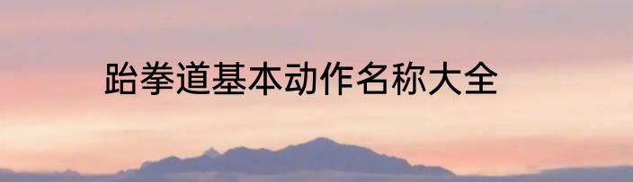 跆拳道基本动作名称大全