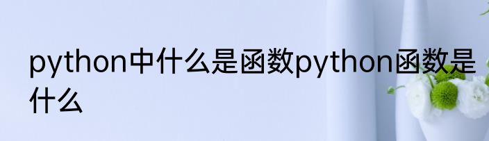 python中什么是函数python函数是什么