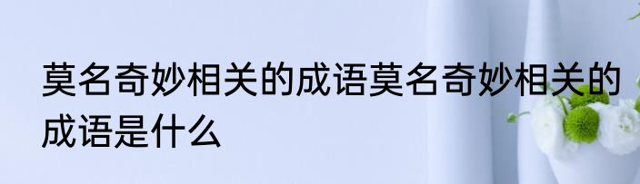 莫名奇妙相关的成语莫名奇妙相关的成语是什么
