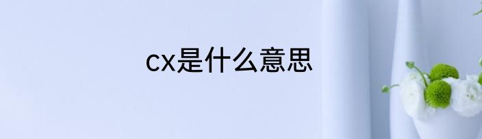 cx是什么意思