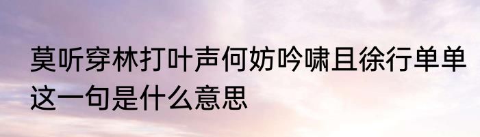 莫听穿林打叶声何妨吟啸且徐行单单这一句是什么意思