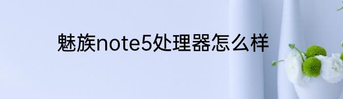 魅族note5处理器怎么样