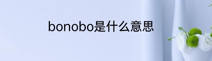 bonobo是什么意思