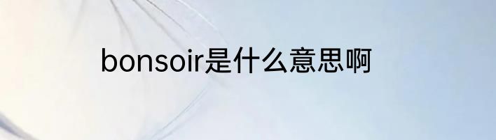 bonsoir是什么意思啊