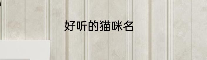 好听的猫咪名