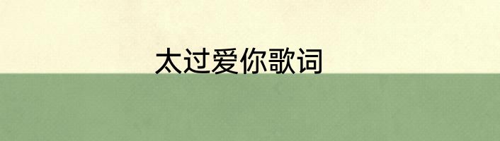 太过爱你歌词