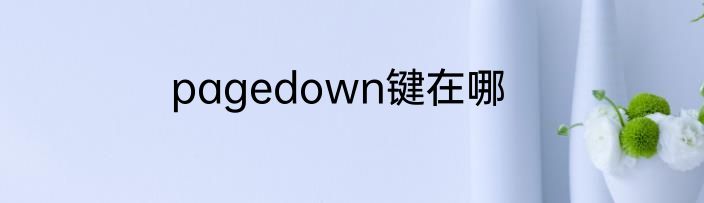 pagedown键在哪
