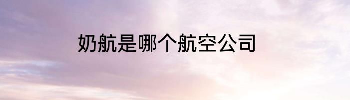 奶航是哪个航空公司