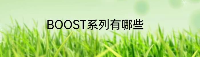 BOOST系列有哪些
