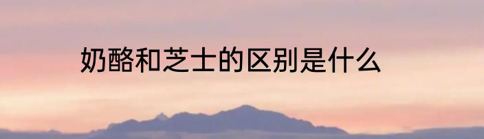 奶酪和芝士的区别是什么