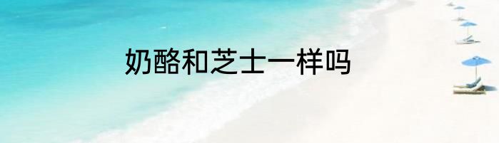 奶酪和芝士一样吗