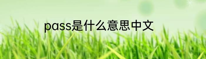 pass是什么意思中文