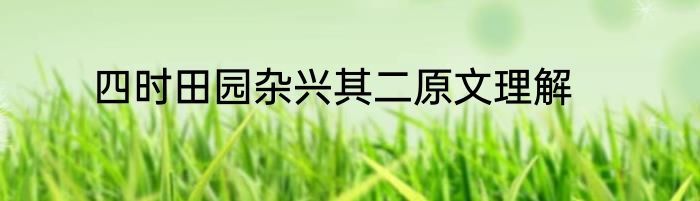 四时田园杂兴其二原文理解