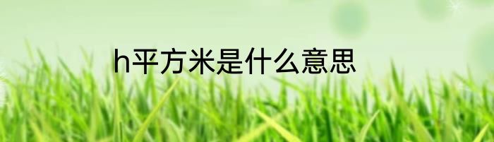 h平方米是什么意思