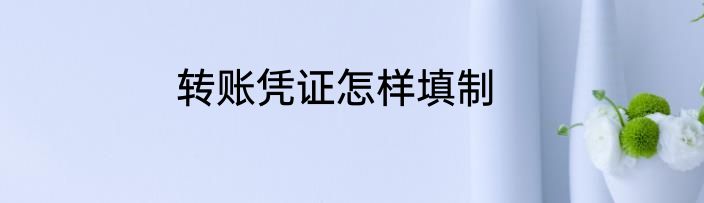 转账凭证怎样填制