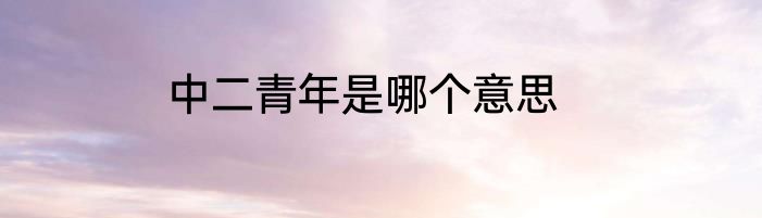中二青年是哪个意思