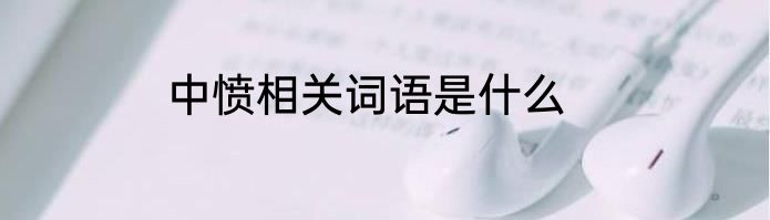 中愤相关词语是什么