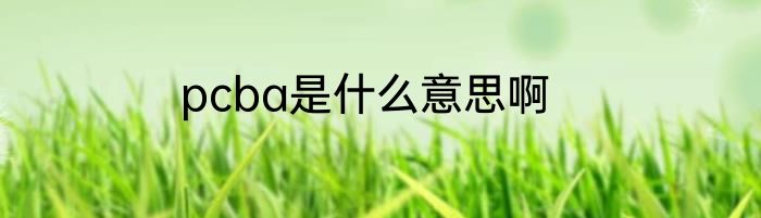 pcba是什么意思啊