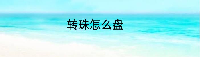 转珠怎么盘