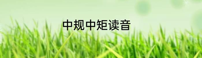 中规中矩读音