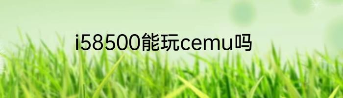 i58500能玩cemu吗