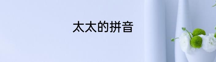 太太的拼音
