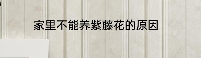 家里不能养紫藤花的原因