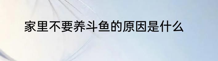 家里不要养斗鱼的原因是什么