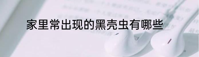 家里常出现的黑壳虫有哪些