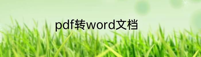 pdf转word文档