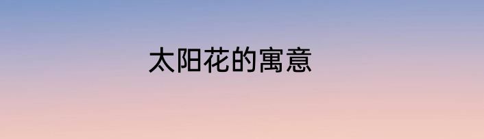 太阳花的寓意